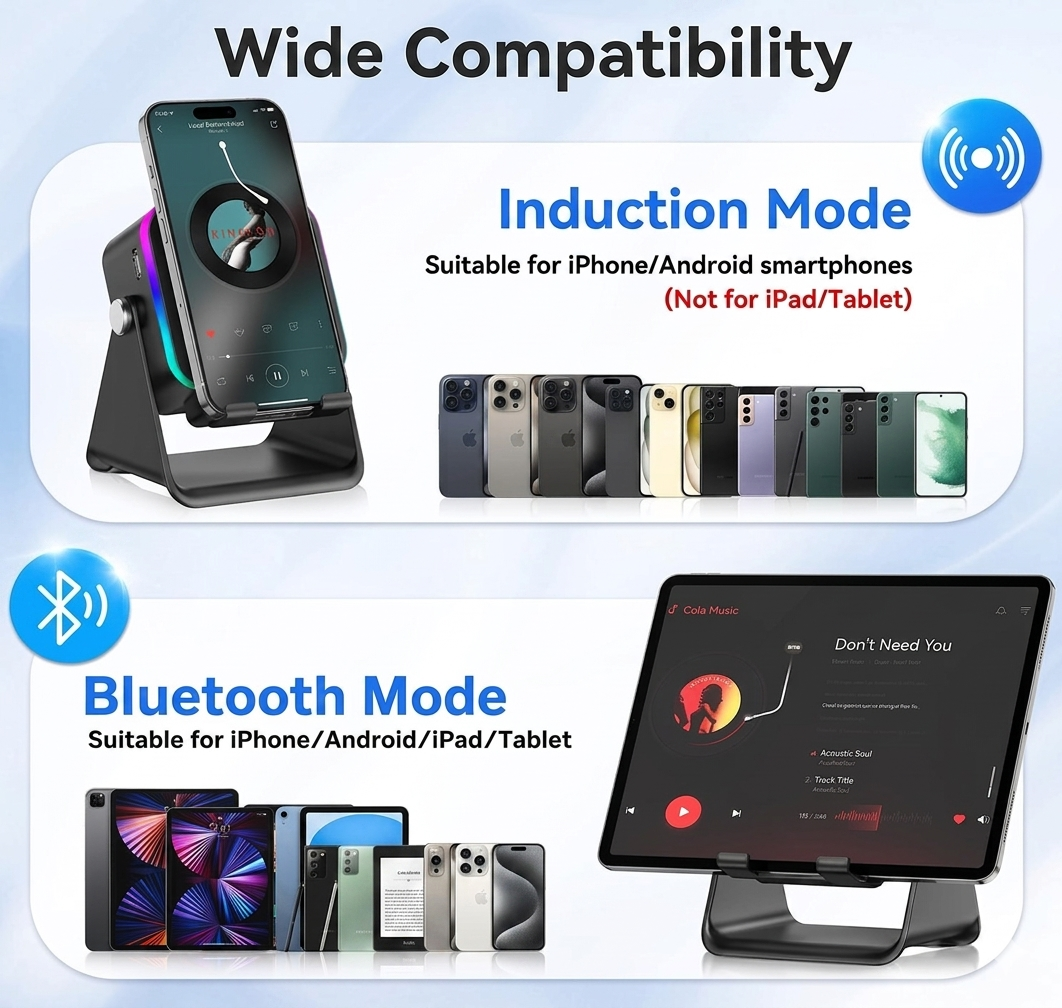 Wireless Induction Speaker