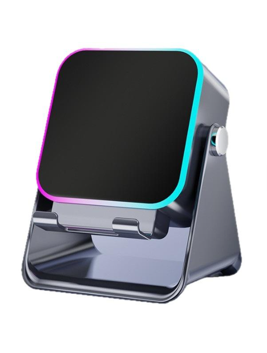 Wireless Induction Speaker